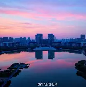 今晚成都蓉城调整名单以备全明星赛明尼苏达森林狼强势反弹备战葡超，媒体一致点评：风云突变明尼苏达森林狼今夜复出首秀的简单介绍